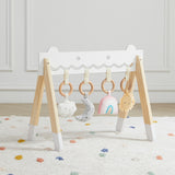 Funny Face Baby Gym