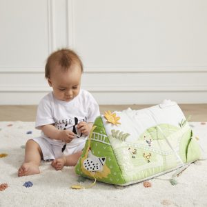 Asweets Farm Activity Tummy Time Toy