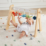 Dinosaur Baby Gym